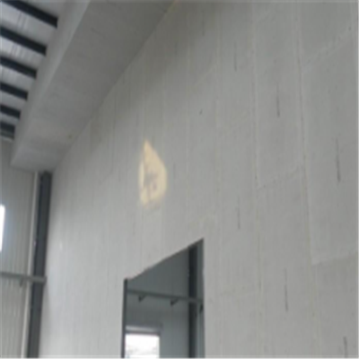 遂昌新型建筑材料掺多种工业废渣的ALC|ACC|FPS模块板材轻质隔墙板